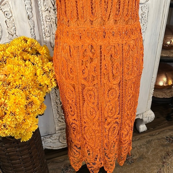 R&M Richards Elegant Orange Beaded Battenberg Lace Dress Special Occassion - Picture 3 of 10